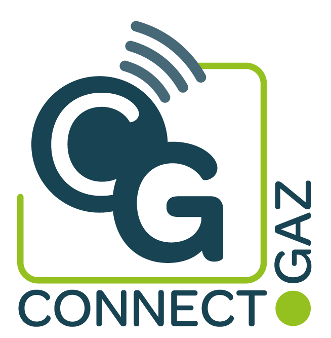 Logo Connect Gaz entretien chaudière à Lyon